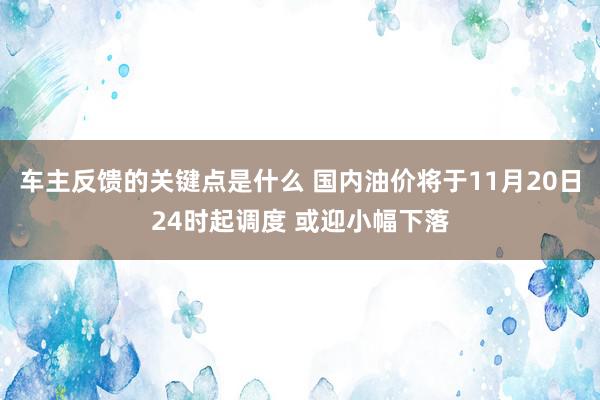 车主反馈的关键点是什么 国内油价将于11月20日24时起调度