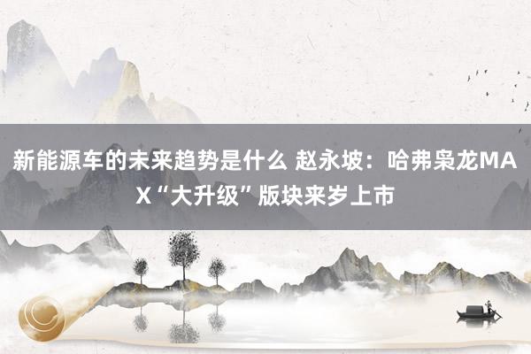 新能源车的未来趋势是什么 赵永坡：哈弗枭龙MAX“大升级”版