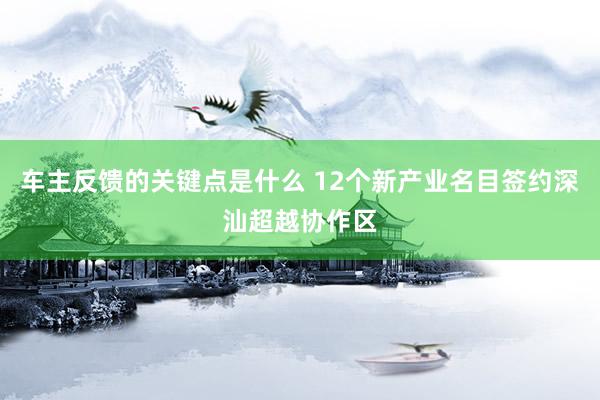 车主反馈的关键点是什么 12个新产业名目签约深汕超越协作区