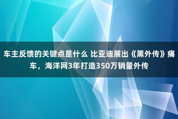 车主反馈的关键点是什么 比亚迪展出《黑外传》痛车，海洋网3年打造350万销量外传