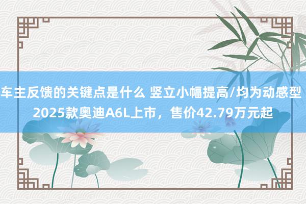 车主反馈的关键点是什么 竖立小幅提高/均为动感型 2025款奥迪A6L上市，售价42.79万元起